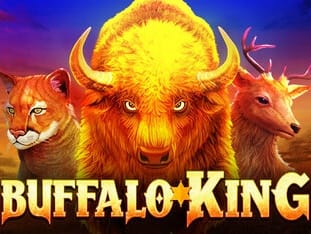 Buffalo King game thumbnail